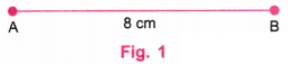 Playing with Constructions NCERT Solutions | Mathematics for Class 6