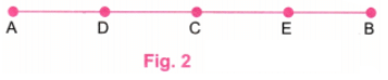 Playing with Constructions NCERT Solutions | Mathematics for Class 6