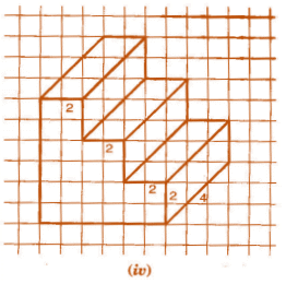 NCERT Solutions for Class 7 Maths - Visualising Solid Shapes- 1