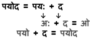 संधि Chapter Notes | Hindi Grammar for Class 6