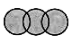 Practice Questions: Logical Venn Diagrams | Science Olympiad Class 6