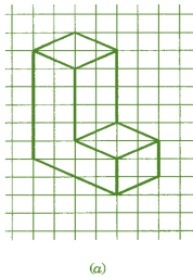 NCERT Solutions for Class 7 Maths - Visualising Solid Shapes- 1