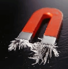 NCERT Summary: Exploring Magnets | Science for Class 6