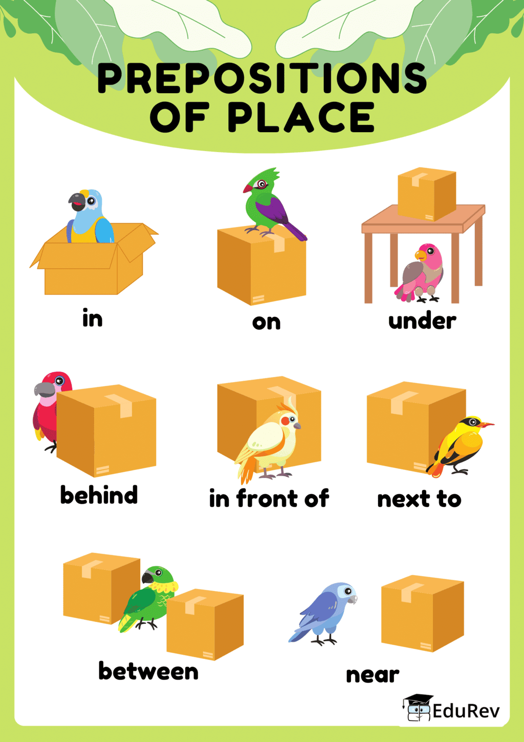 Learning Poster: Prepositions | English Grammar for Class 6