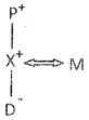 Practice Questions: Blood Relations | Science Olympiad Class 6