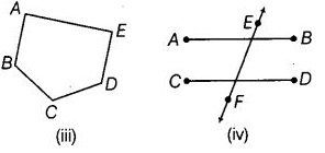 NCERT Exemplar Solutions: Geometry | Mathematics (Maths) Class 6