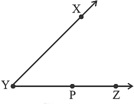 NCERT Exemplar Solutions: Geometry | Mathematics (Maths) Class 6