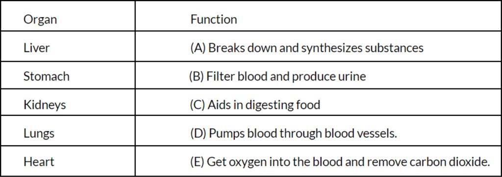 Worksheet: Organisms and Cells | IGCSE Cambridge Science for Year 6 - Class 6