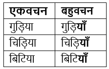 वचन Chapter Notes | Hindi Grammar for Class 6