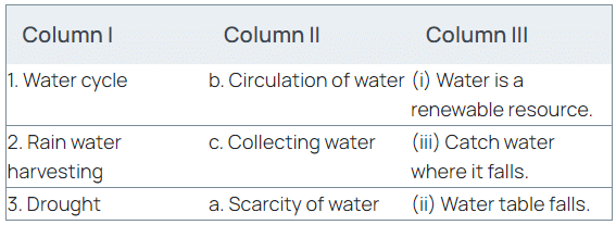 Science Olympiad Model Test Paper - 2 | Science Olympiad Class 6