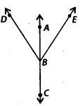 NCERT Exemplar Solutions: Lines & Angles | Mathematics (Maths) Class 7 (Old NCERT)