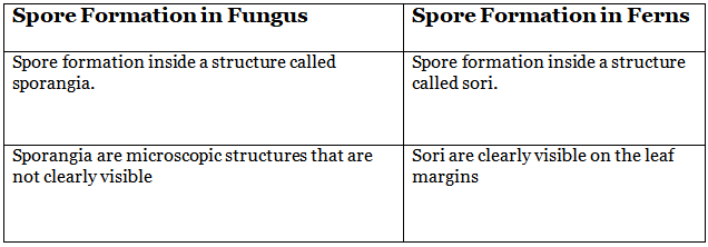 Class 7 Science Chapter 8 Question Answers - Reproduction in Plants