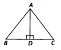 NCERT Exemplar Solutions: Triangles | Mathematics (Maths) Class 7 (Old NCERT)
