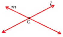Basic Geometrical Ideas Class 6 Notes Maths Chapter 4