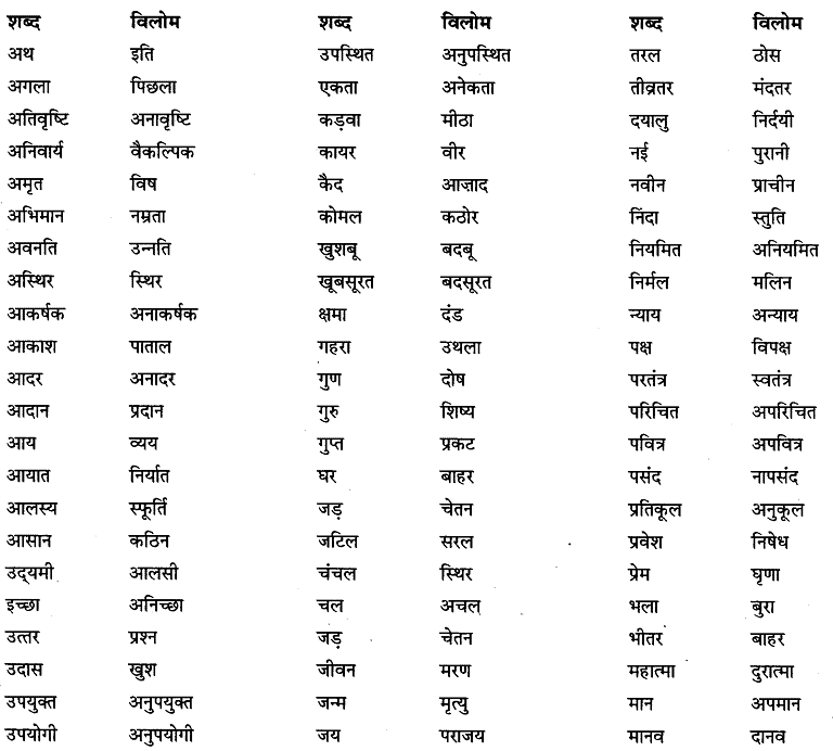 शब्द-भंडार | Hindi Grammar for Class 6