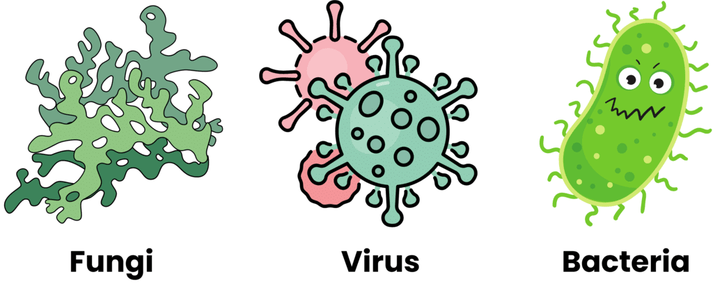 Microorganisms