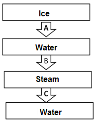 Science Olympiad Model Test Paper - 3 | Science Olympiad Class 6