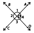NCERT Exemplar Solutions: Lines & Angles | Mathematics (Maths) Class 7 (Old NCERT)