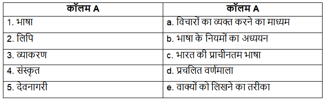 Worksheet: भाषा, लिपि और व्याकरण | Hindi Grammar for Class 6