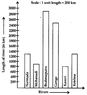 NCERT Exemplar Solutions: Data Handling | Mathematics (Maths) Class 6
