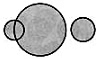 Practice Questions: Logical Venn Diagrams | Science Olympiad Class 6