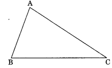 Important Questions: The Triangles and its properties | Mathematics (Maths) Class 7 (Old NCERT)