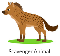 Worksheet Solutions: Living Creatures: Exploring their Characteristics - 2 | Worksheets with Solutions for Class 6