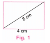 Playing with Constructions NCERT Solutions | Mathematics for Class 6