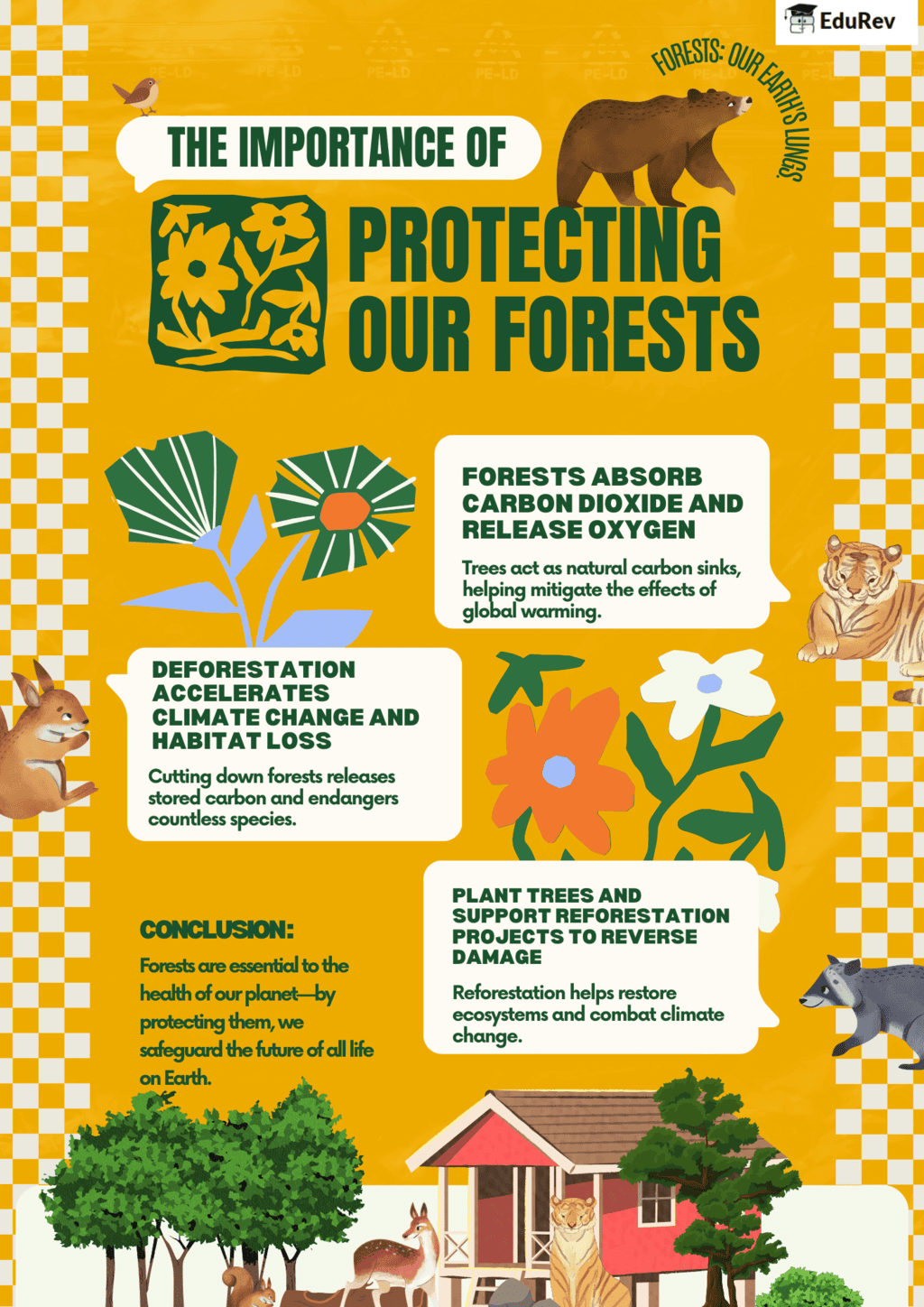 Infographics: Forests - Our Lifeline | Science Class 7 (Old NCERT)