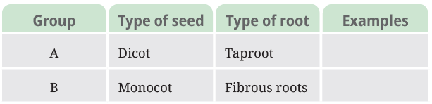 Diversity in the Living World NCERT Solutions | Science for Class 6