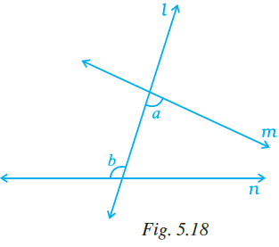 NCERT Exemplar Solutions: Lines & Angles | Mathematics (Maths) Class 7 (Old NCERT)