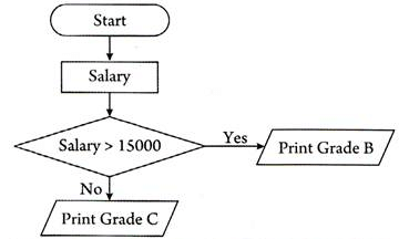 Intro to Computer Programming Chapter Notes | Computer Science for Class 6