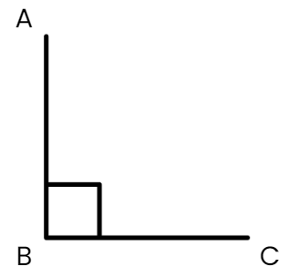 Worksheet Solutions: Lines and Angles | Mathematics (Maths) Class 6