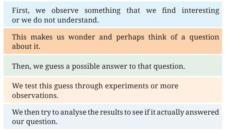 NCERT Based Activity: The Wonderful World of Science | Science for Class 6