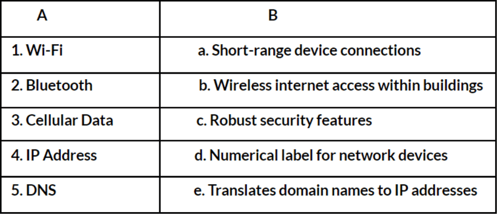 Worksheet: Accessing the internet | IGCSE Cambridge Computing for Year 7 - Class 7