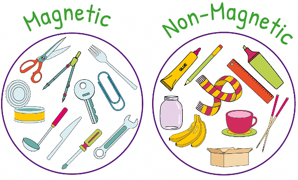 NCERT Summary: Exploring Magnets | Science for Class 6