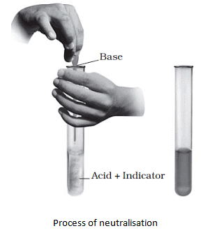 Acids, Base & Salts Summary Class 7 NCERT Summary