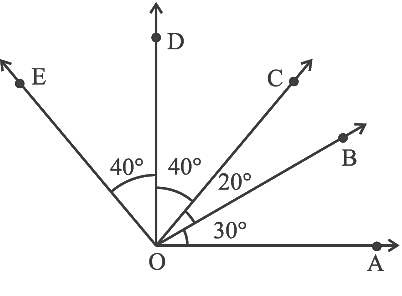 NCERT Exemplar Solutions: Geometry | Mathematics (Maths) Class 6