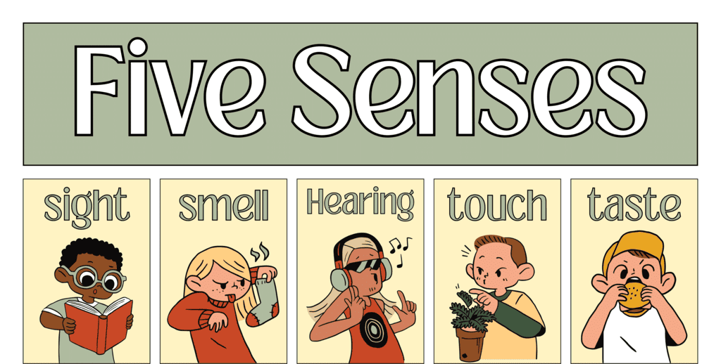Senses