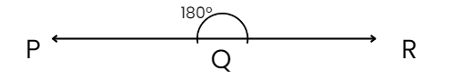 Worksheet Solutions: Lines and Angles | Mathematics (Maths) Class 6