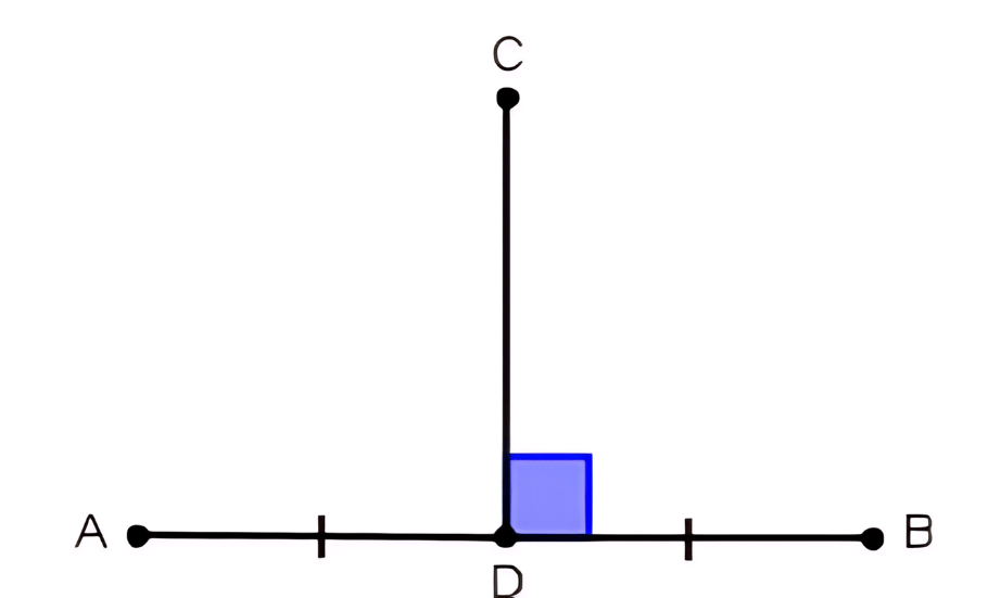 Olympiad Notes: Understanding Elementary Shapes | Maths Olympiad Class 6