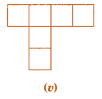 NCERT Solutions for Class 7 Maths - Visualising Solid Shapes- 1