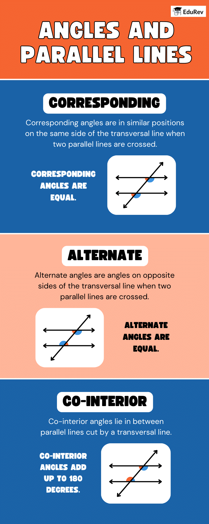 Infographics: Angles and Parallel Lines | Mathematics (Ganita Prakash) Class 7 - New NCERT