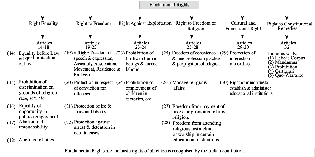 Fundamental Duties and Rights | GK Olympiad for Class 6