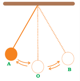 NCERT Exemplar Solutions: Motion & Time | Science Class 7