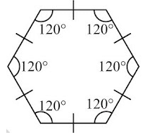 Symmetry Summary Class 7 NCERT Summary Chapter 12
