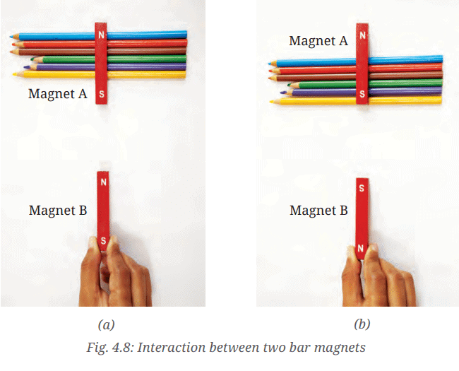 Diagram Based Questions: Exploring Magnets | Science for Class 6