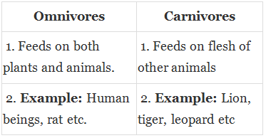 Class 5 EVS Question Answers - Food - Where does it come from