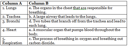 Worksheets With Solutions: Respiration in Organisms Class 7 Worksheet Science Chapter 6