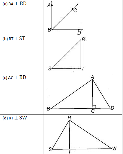 NCERT Exemplar Solutions: Geometry | Mathematics (Maths) Class 6